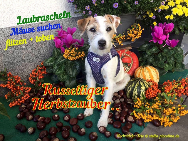 Sommer 2025